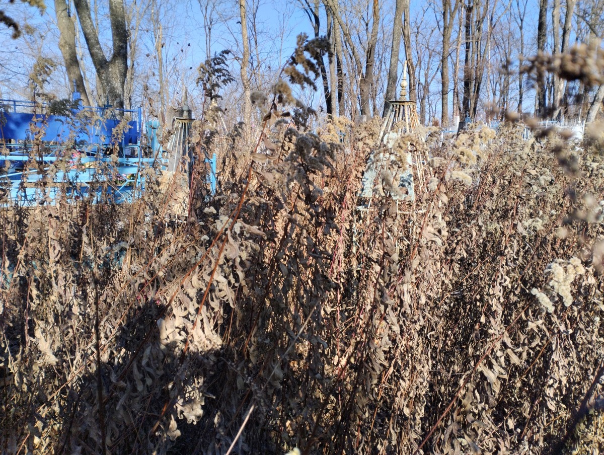 Мизгирева Вера Ивановна