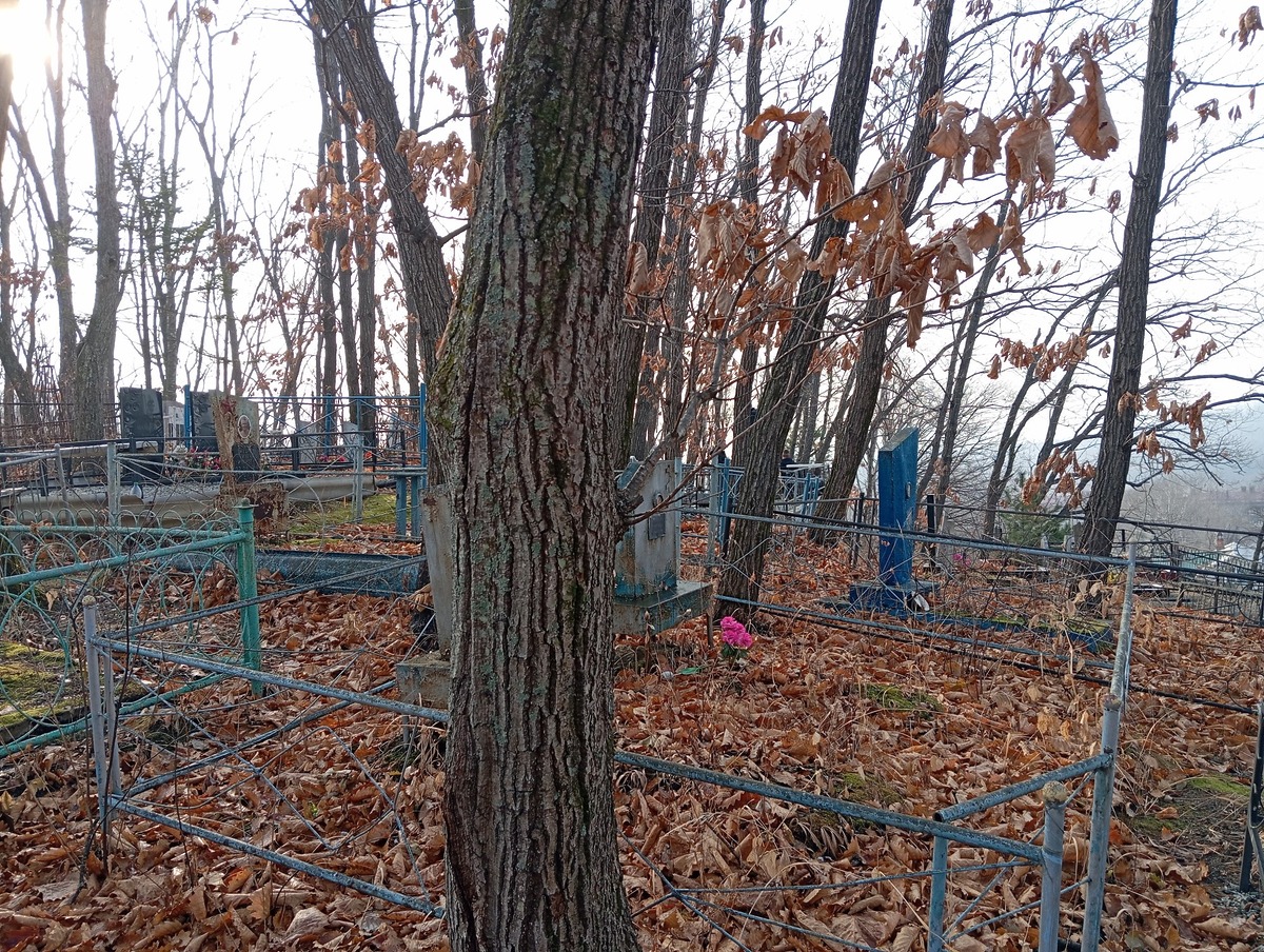 8f967f73-b493-41b0-899b-ca11ec010517 Черентаева Фекла Сидоровна