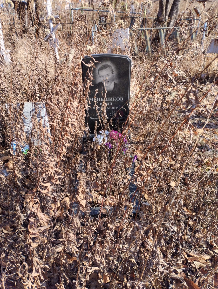 933066b0-cb73-4d95-b42f-02c46a69a716 Меньшиков Юрий Николаевич