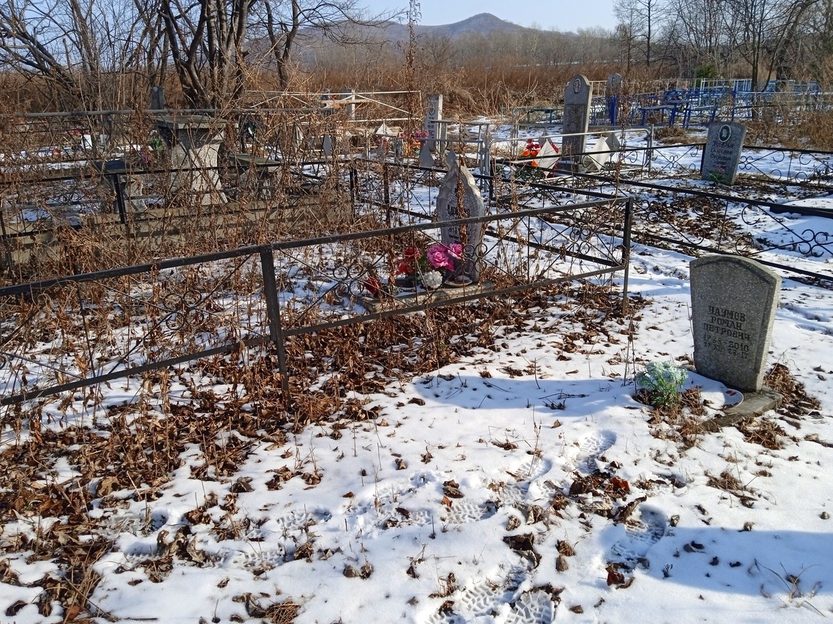 96ee32e6-336e-477e-a6ee-84d9dfacf6ba Наумов Роман Петрович