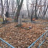Шаклеина Таисия Ильинична