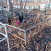 Ахметова Минисса Неизвестно