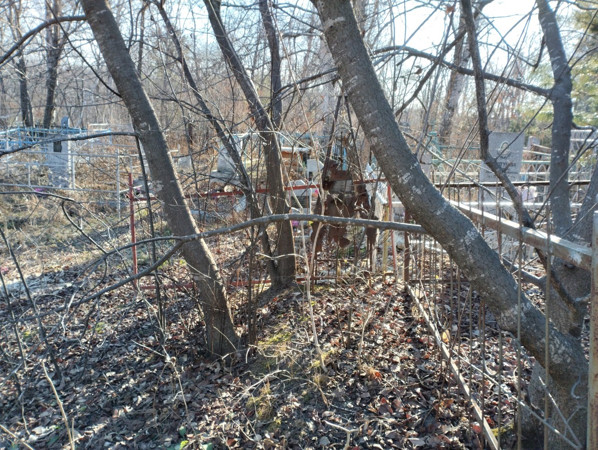 Кормес Анна Никитична