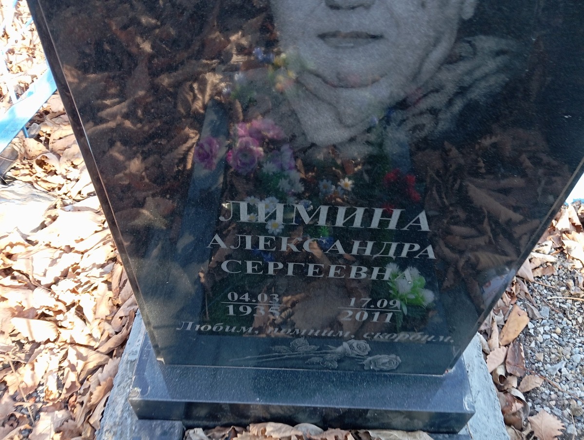 9b9771c9-cbd4-4bbe-9390-79b69cea193e Лимина Александра Сергеевна