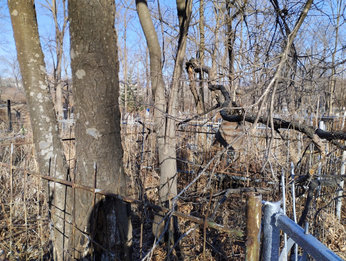 Менеханов Ш Неизвестно