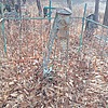 Морозов Николай Никитич