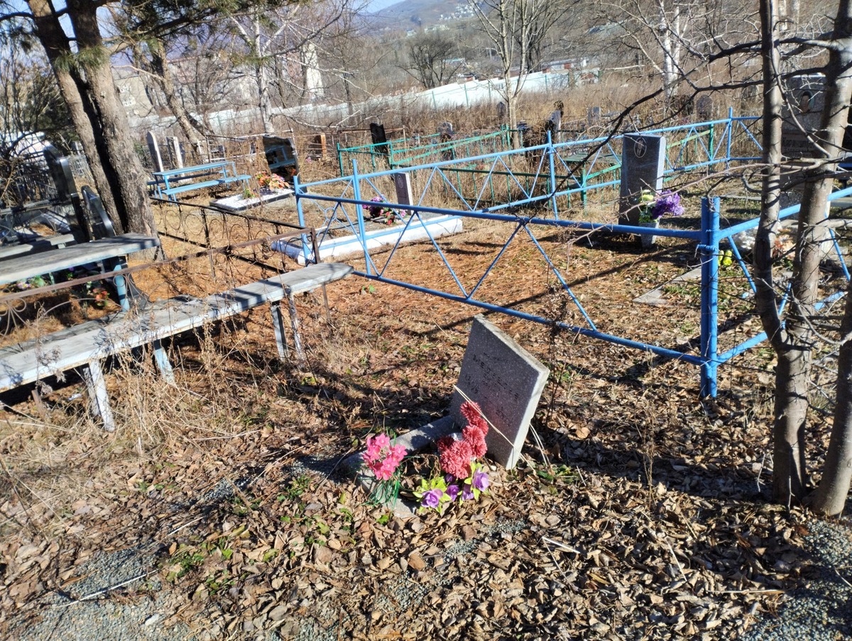 9c9ca786-dec1-4b72-8e09-3e77d2d34467 Медведев Дмитрий Юрьевич