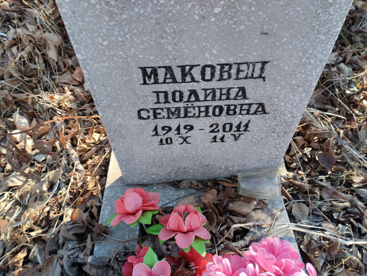 9d3d3649-4ac4-4622-8317-723a6916dcf4 Маковец Полина Семеновна