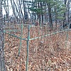 Морозов Николай Никитич