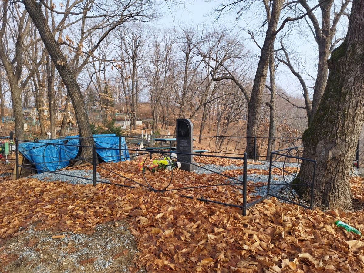 Докшин Александр Николаевич