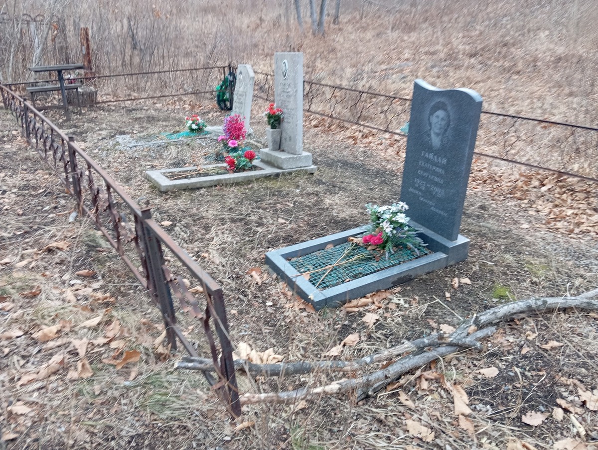 Гайдай Екатерина Сергеевна