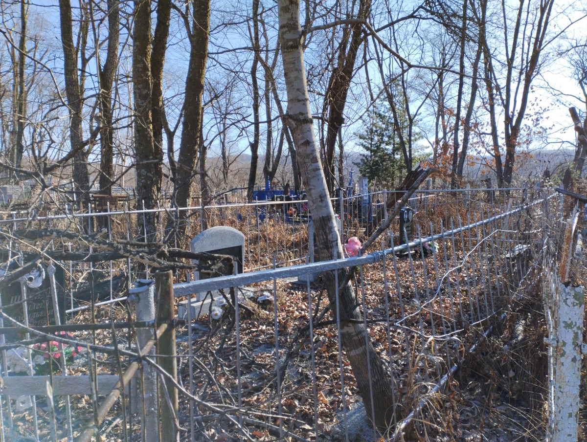 a0b37845-5873-44a6-982a-3183b9f35d87 Маркович Эльвира Федоровна