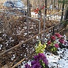 Малкина Ксенья Григорьевна