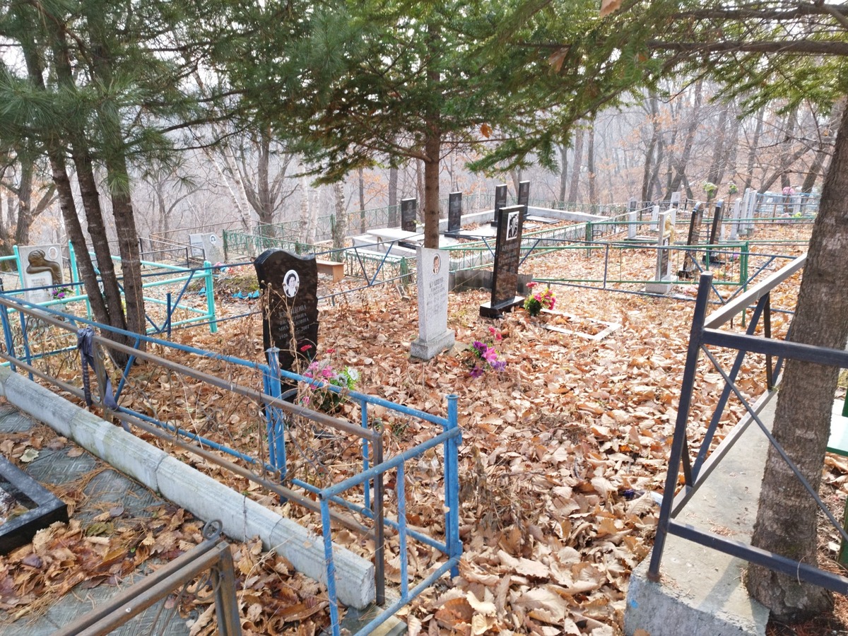 Кравцов Николай Алексеевич