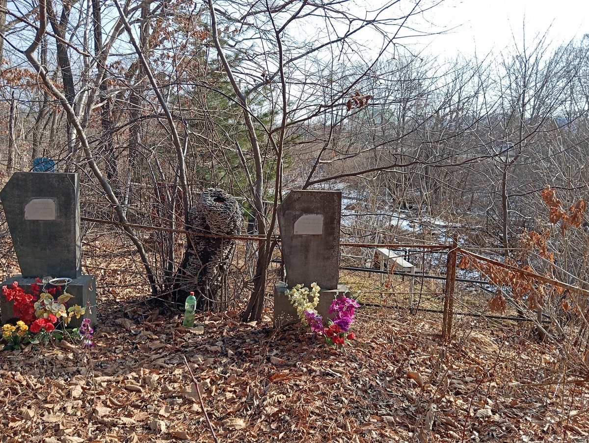 a59d1948-aa4f-4320-bda4-90ade4180afc Карачевцев Кузьма Алексаедрович