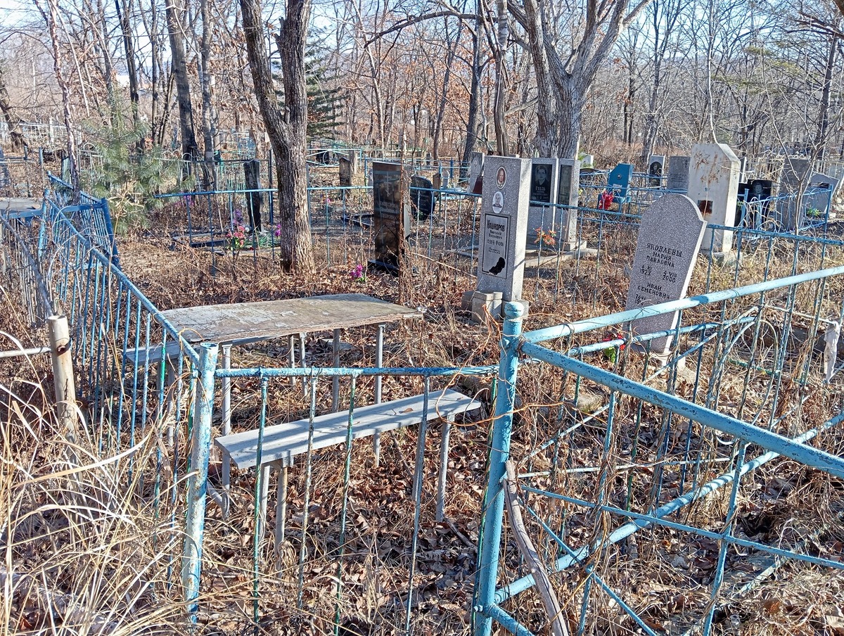 Кашкаров Николай Павлович