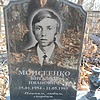 Моисеенко Виталий Иванович