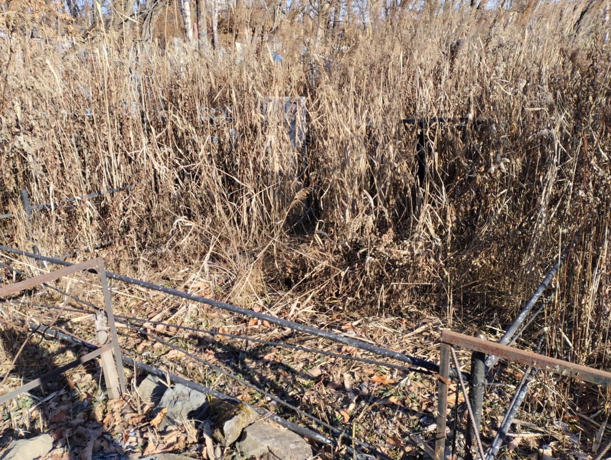 Манаков Роман Александрович