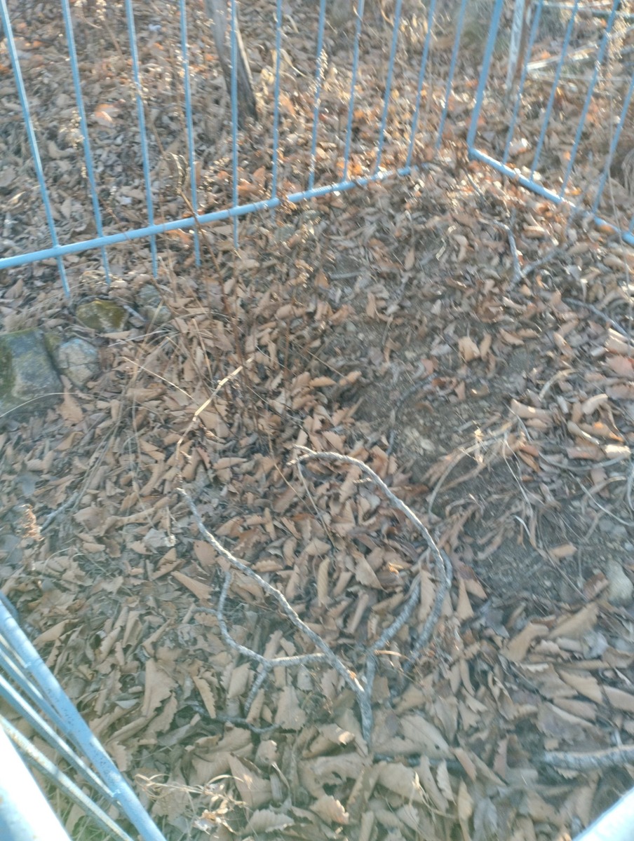 ae4adf39-9f53-4a4c-b778-286647b4b9f4 Неизвестно Неизвестно Неизвестно