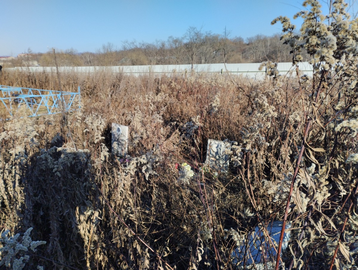 ae560b44-dc00-4e95-a43e-10f1e7410984 Малоиван Максим Викторович