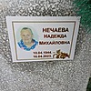 Нечаева Надежда Михайловна