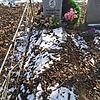 Развологина Людмила Иннокентьевна