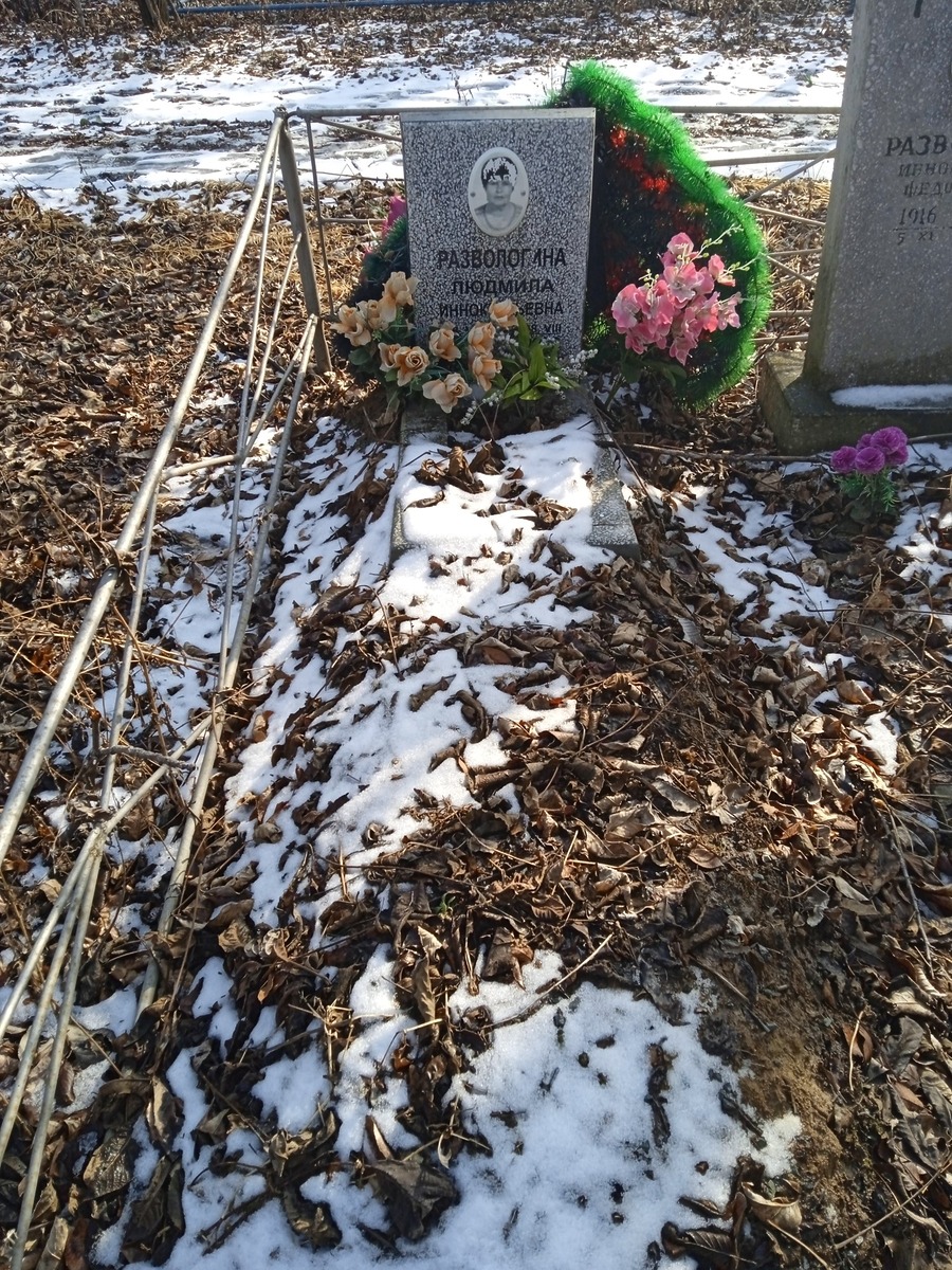 afd32a8b-b77c-4e99-975d-4bd93f1d2f82 Развологина Людмила Иннокентьевна