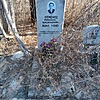 Семенец Михаил Васильевич