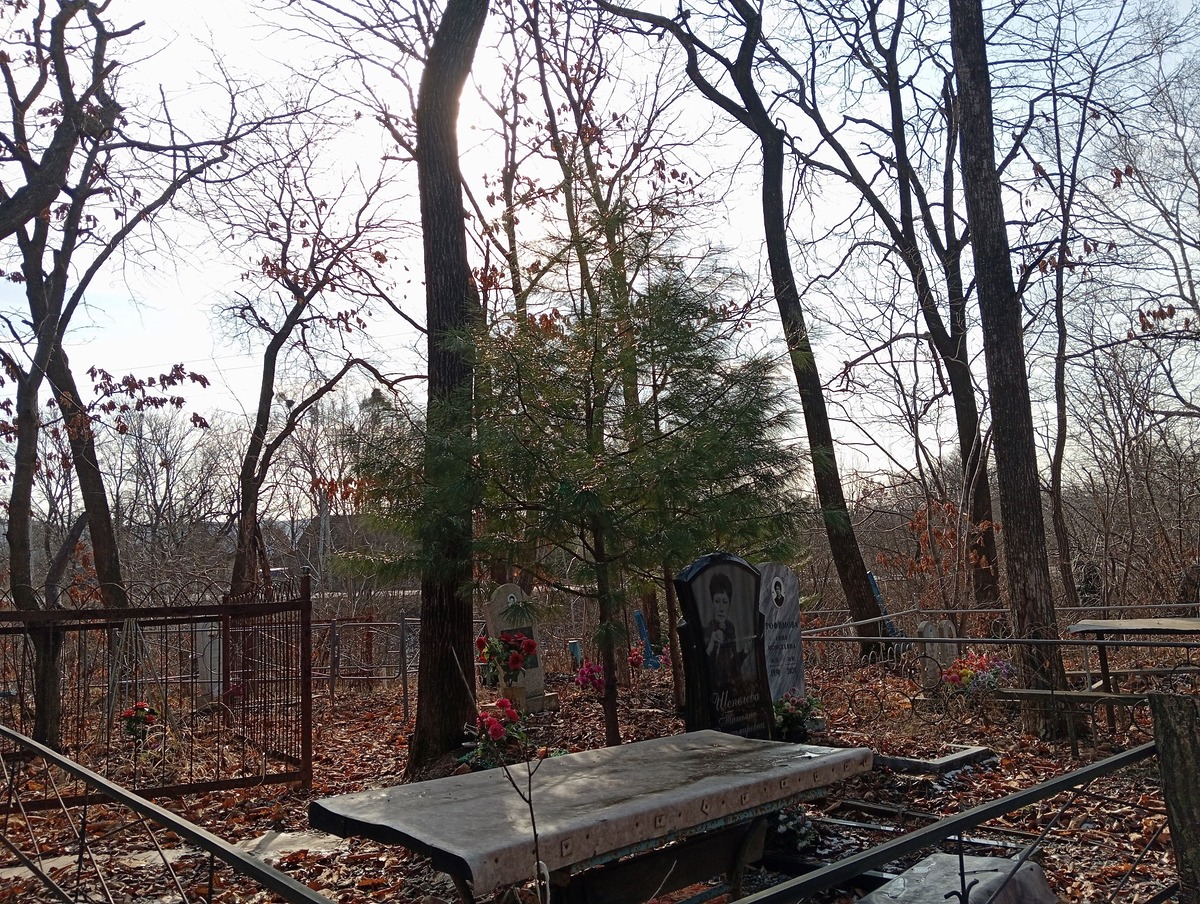 Трофимова Анна Моисеевна