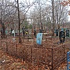Ивасюк Дмитрий Петрович