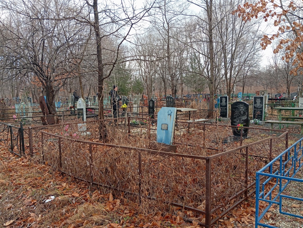 b33f69bc-4ded-46a1-bb58-12a2f441dfd9 Ивасюк Дмитрий Петрович