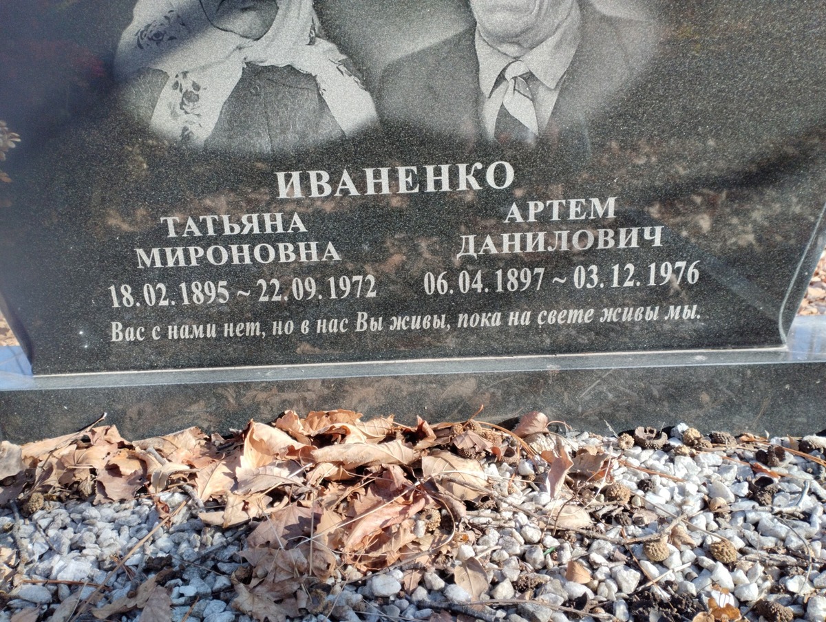 b456b078-d420-4946-abde-c4e6a9fb725b Иваненко Артем Данилович