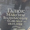 Галюк Максим Вадимович