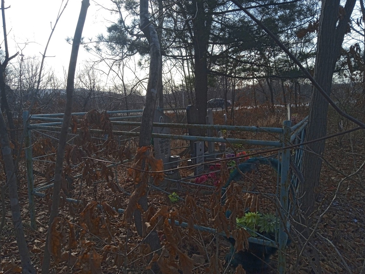 Бородулина Елена Владимировна