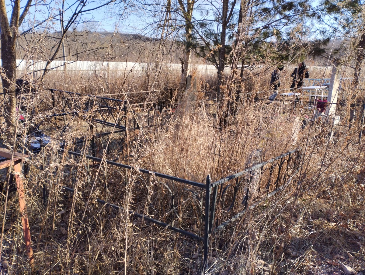 bb7e4c08-957b-4bf3-9ea2-84ec3496a5d4 Каримова Раиса Хамзяновна