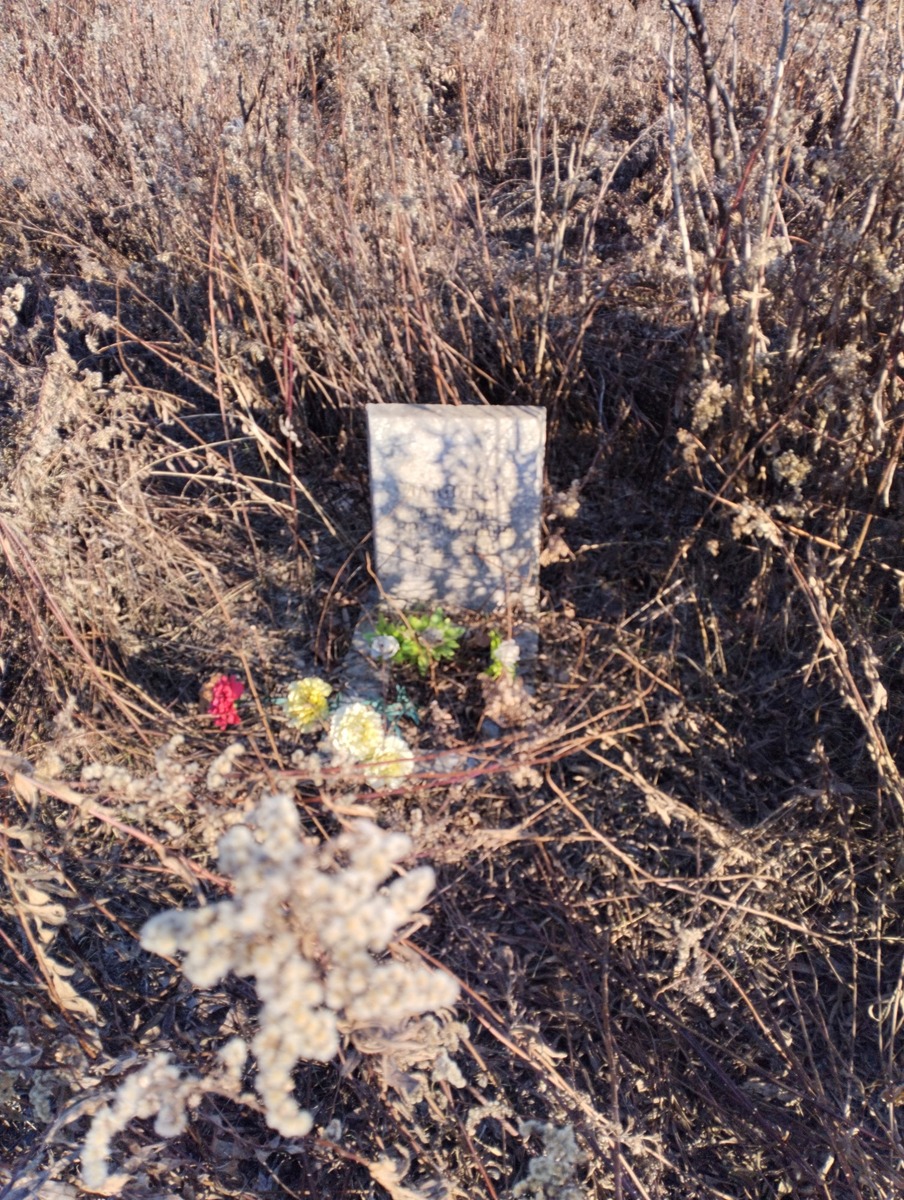 beee9ff1-2d7d-4676-af5b-62ad93e0a202 Малоиван Максим Викторович