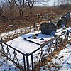 Реженок Лилия Владимировна