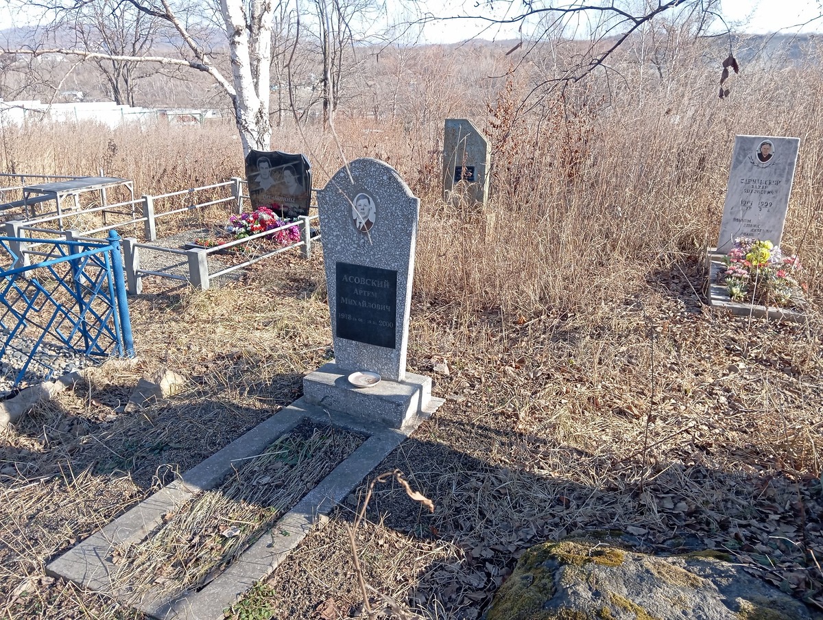 c06b66c4-2f46-43e9-9406-076ec3c4ddd6 Асовский Артем Михайлович