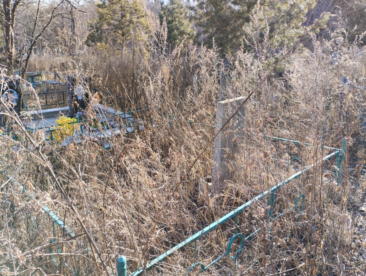 Мамлеева Ельмира Сазитовна