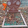 Скнорина Ольга Филипповна