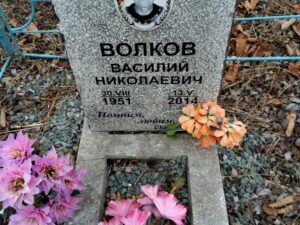 Волков Василий Николаевич