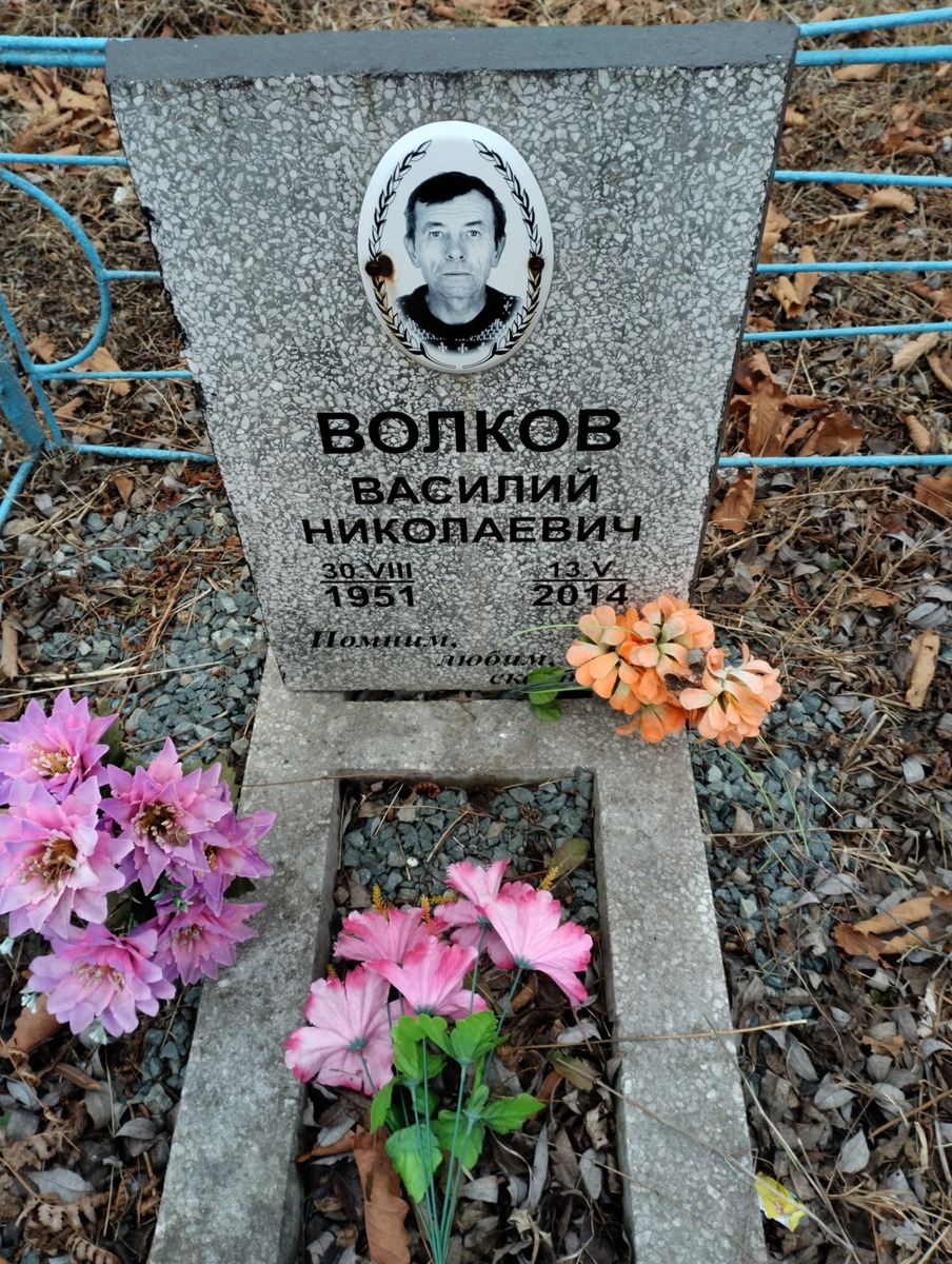 c3f5f281-16b0-4aef-ae78-101f90989358 Волков Василий Николаевич