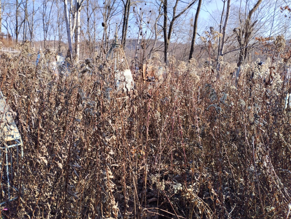 Мизгирева Вера Ивановна