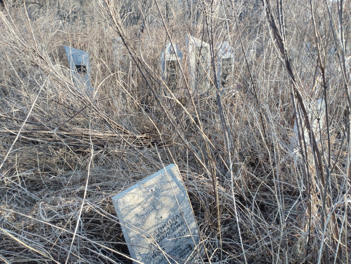 c6b20a45-9348-4e2b-9260-f70e447dac6b Малицкая Тамара Яковлевна