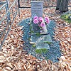 Столбов Виталий Николаевич
