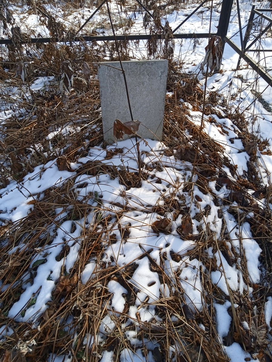 Тян Роза Евгеньевна