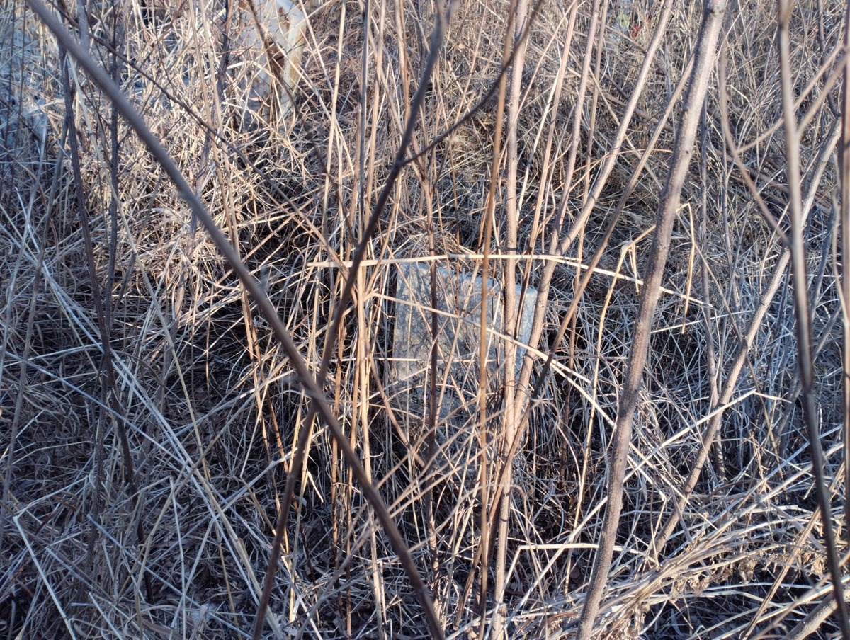 c7b6eb33-5ef7-4ddf-9a7a-25fbdb92d952 Малицкая Тамара Яковлевна