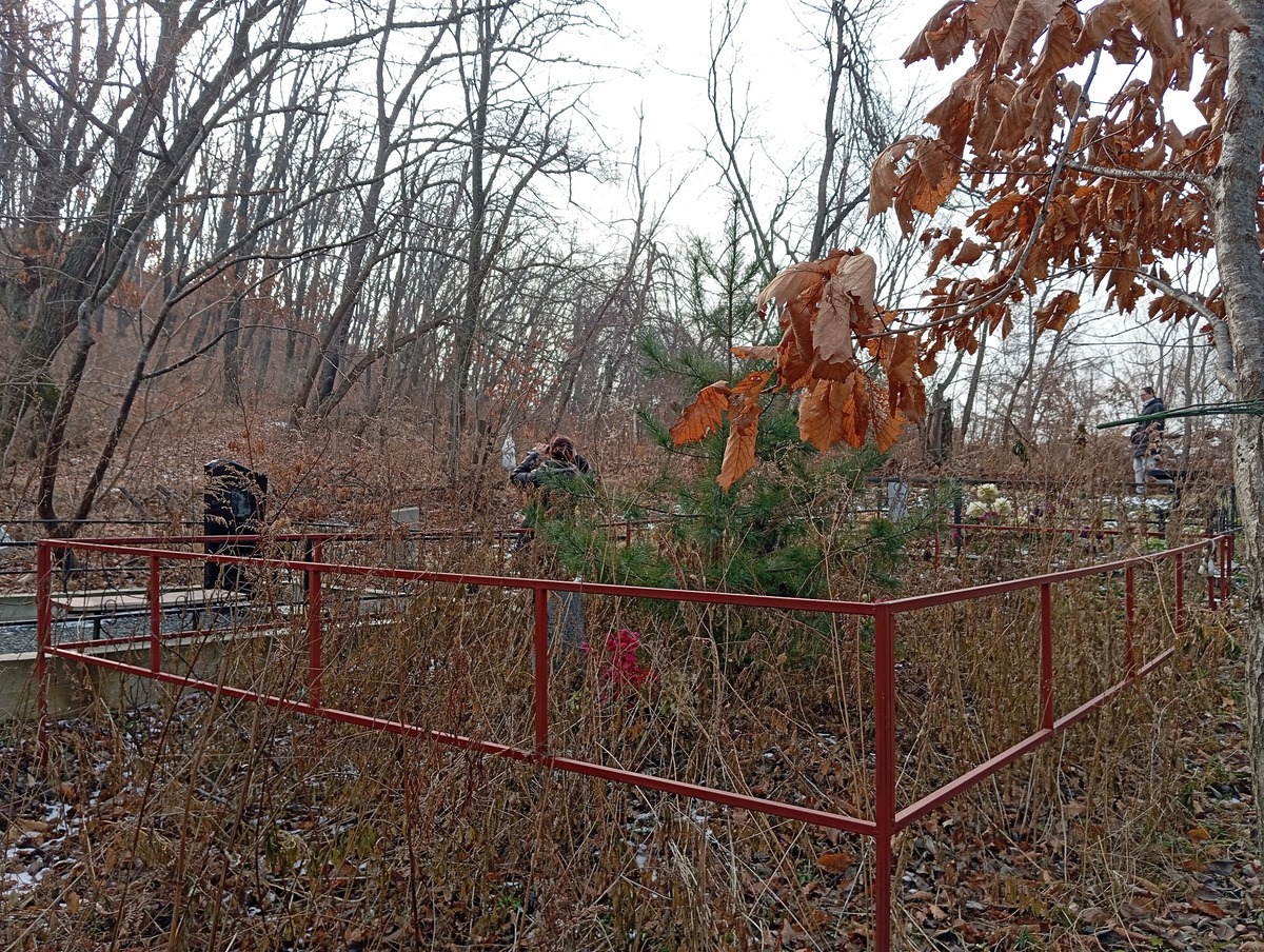 Морозов Петр Васильевич