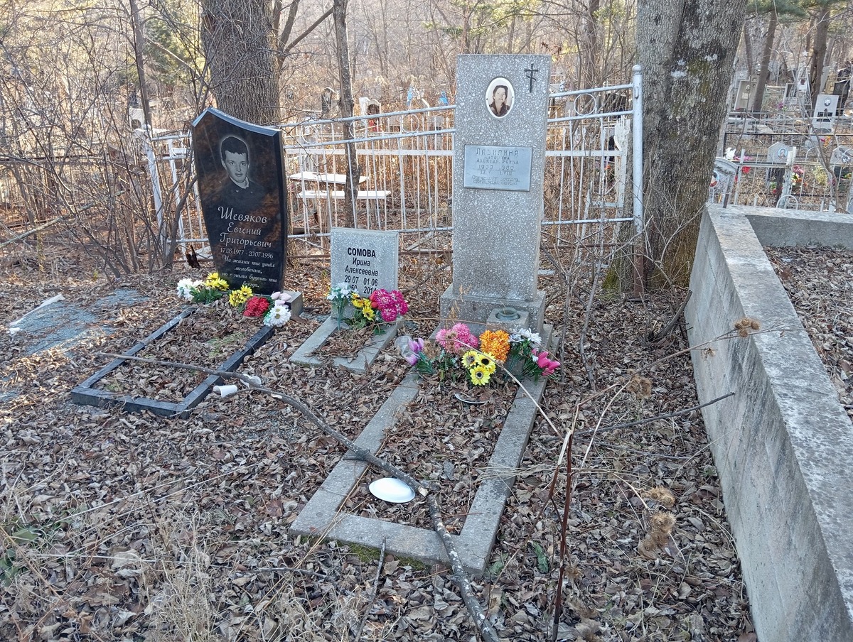 Сомова Ирина Алексеевна