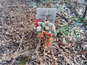 Сысоева Вера Викторовна